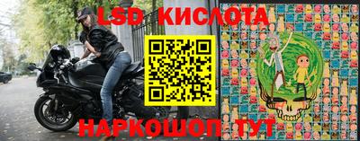 гидра Свободный