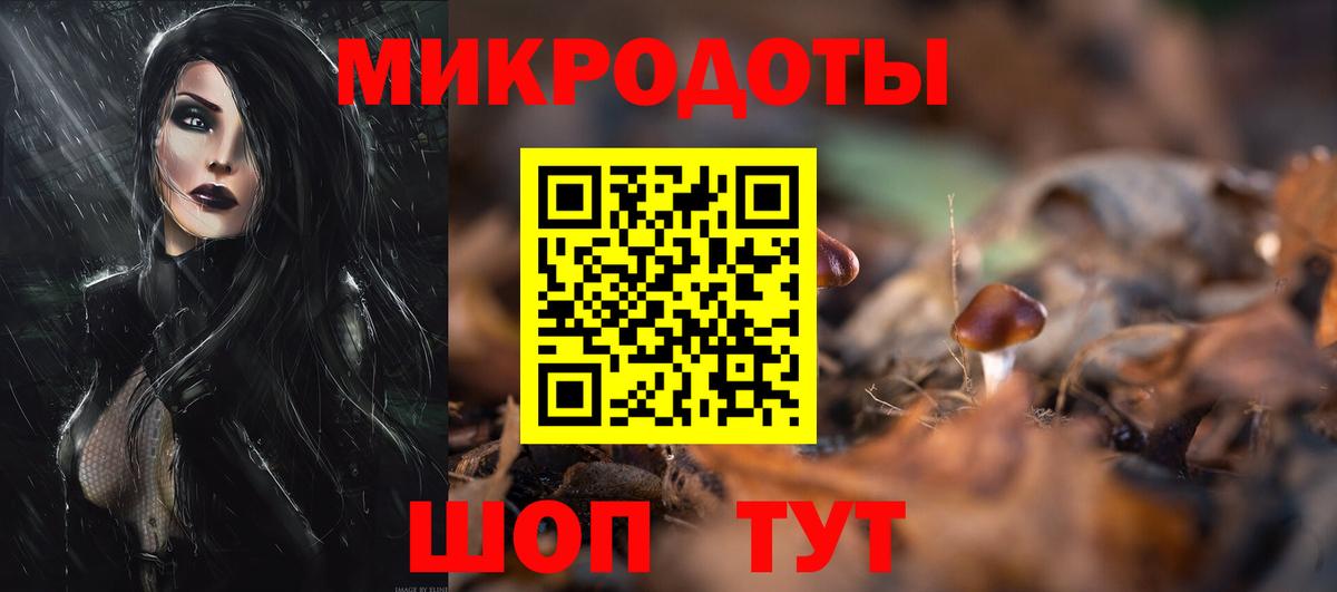 Нефтекумск  Псилоцибиновые грибы Cubensis  Вход с VPN 